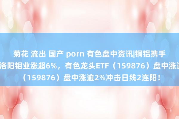 菊花 流出 国产 porn 有色盘中资讯|铜铝携手领涨有色金属板块！洛阳钼业涨超6%，有色龙头ETF（159876）盘中涨逾2%冲击日线2连阳！