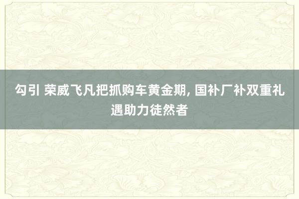 勾引 荣威飞凡把抓购车黄金期， 国补厂补双重礼遇助力徒然者