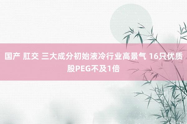 国产 肛交 三大成分初始液冷行业高景气 16只优质股PEG不及1倍