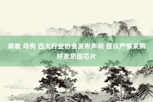 调教 母狗 四大行业协会发布声明 提议严慎采购好意思国芯片