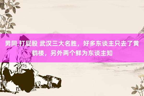 男同 打屁股 武汉三大名胜，好多东谈主只去了黄鹤楼，另外两个鲜为东谈主知