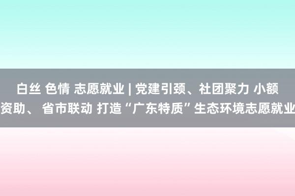 白丝 色情 志愿就业 | 党建引颈、社团聚力 小额资助、 省市联动 打造“广东特质”生态环境志愿就业