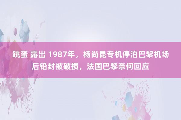 跳蛋 露出 1987年，杨尚昆专机停泊巴黎机场后铅封被破损，法国巴黎奈何回应