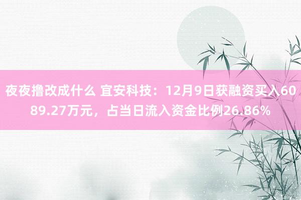 夜夜撸改成什么 宜安科技：12月9日获融资买入6089.27万元，占当日流入资金比例26.86%