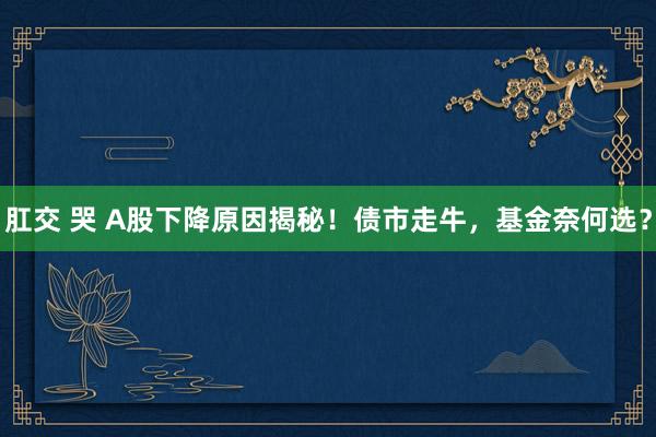 肛交 哭 A股下降原因揭秘！债市走牛，基金奈何选？