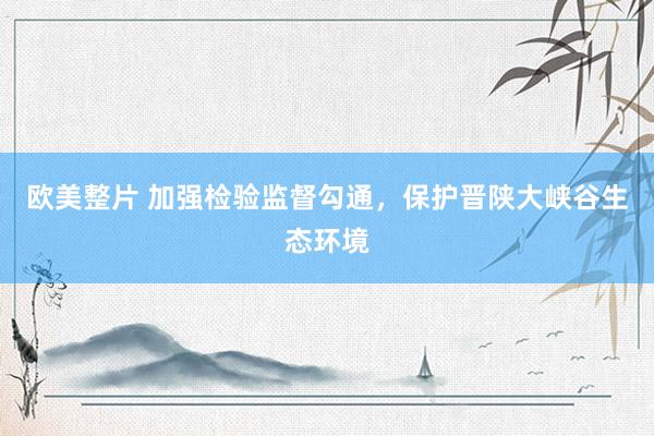 欧美整片 加强检验监督勾通，保护晋陕大峡谷生态环境