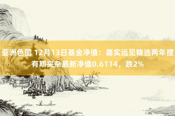 亚洲色图 12月13日基金净值：嘉实远见精选两年捏有期夹杂最新净值0.6114，跌2%