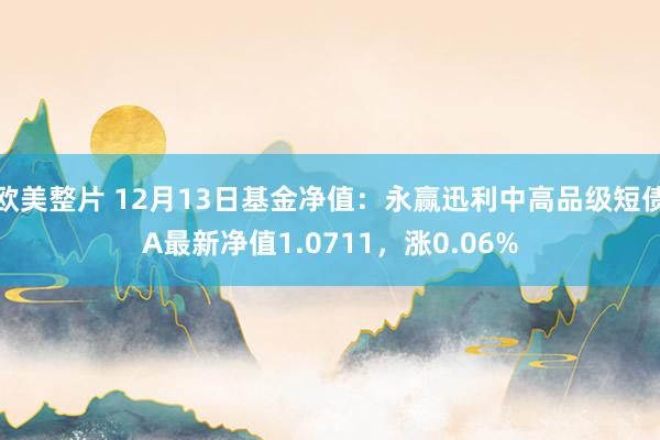 欧美整片 12月13日基金净值：永赢迅利中高品级短债A最新净值1.0711，涨0.06%