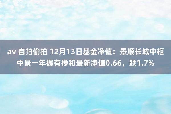 av 自拍偷拍 12月13日基金净值：景顺长城中枢中景一年握有搀和最新净值0.66，跌1.7%