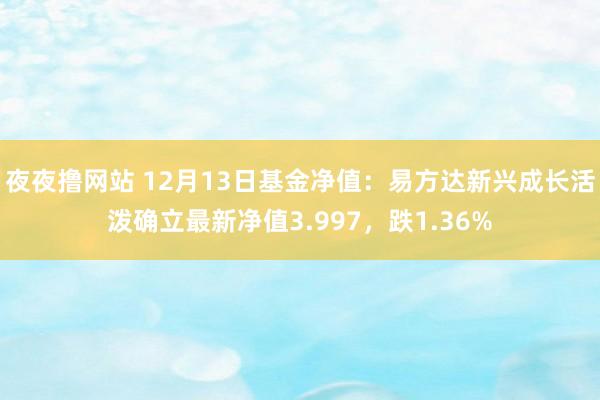 夜夜撸网站 12月13日基金净值：易方达新兴成长活泼确立最新净值3.997，跌1.36%