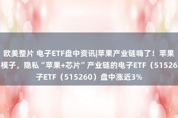 欧美整片 电子ETF盘中资讯|苹果产业链嗨了！苹果拟接入国产AI大模子，隐私“苹果+芯片”产业链的电子ETF（515260）盘中涨近3%