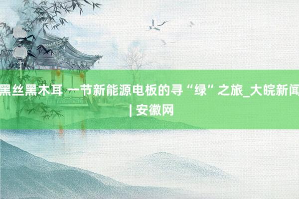 黑丝黑木耳 一节新能源电板的寻“绿”之旅_大皖新闻 | 安徽网