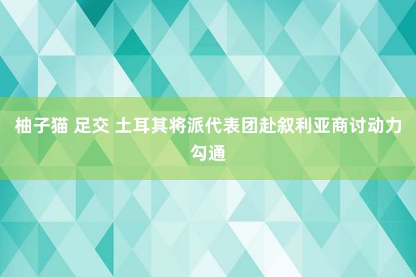 柚子猫 足交 土耳其将派代表团赴叙利亚商讨动力勾通