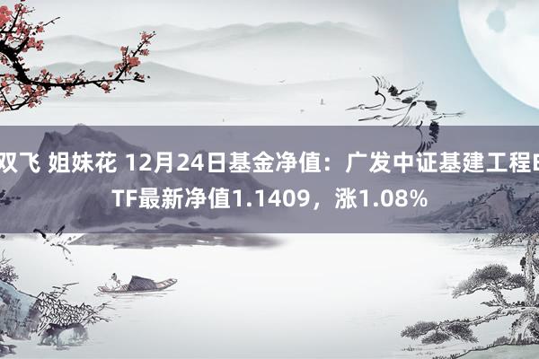 双飞 姐妹花 12月24日基金净值：广发中证基建工程ETF最新净值1.1409，涨1.08%