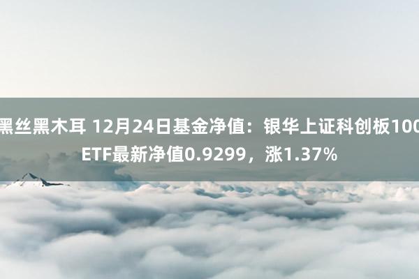 黑丝黑木耳 12月24日基金净值：银华上证科创板100ETF最新净值0.9299，涨1.37%