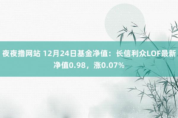 夜夜撸网站 12月24日基金净值：长信利众LOF最新净值0.98，涨0.07%