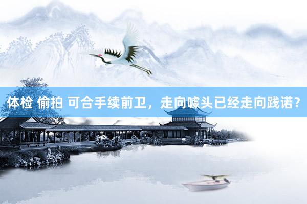 体检 偷拍 可合手续前卫，走向噱头已经走向践诺？