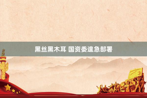 黑丝黑木耳 国资委遑急部署