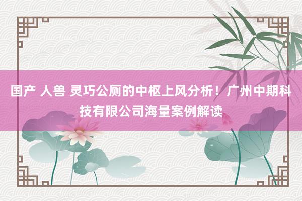 国产 人兽 灵巧公厕的中枢上风分析！广州中期科技有限公司海量案例解读