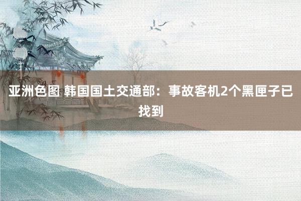 亚洲色图 韩国国土交通部：事故客机2个黑匣子已找到