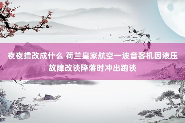 夜夜撸改成什么 荷兰皇家航空一波音客机因液压故障改谈降落时冲出跑谈