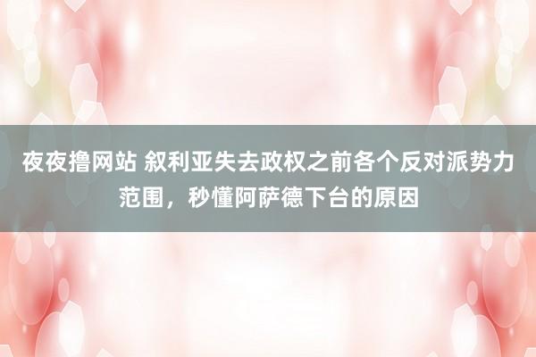 夜夜撸网站 叙利亚失去政权之前各个反对派势力范围，秒懂阿萨德下台的原因