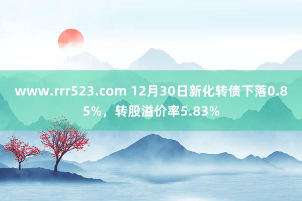 www.rrr523.com 12月30日新化转债下落0.85%，转股溢价率5.83%