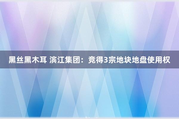 黑丝黑木耳 滨江集团：竞得3宗地块地盘使用权