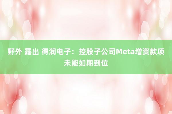 野外 露出 得润电子：控股子公司Meta增资款项未能如期到位