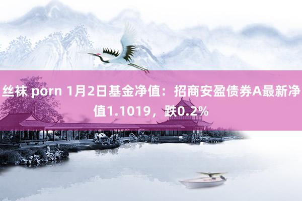 丝袜 porn 1月2日基金净值：招商安盈债券A最新净值1.1019，跌0.2%