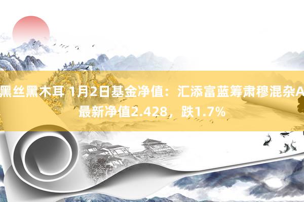黑丝黑木耳 1月2日基金净值：汇添富蓝筹肃穆混杂A最新净值2.428，跌1.7%
