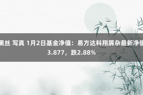 黑丝 写真 1月2日基金净值：易方达科翔羼杂最新净值3.877，跌2.88%