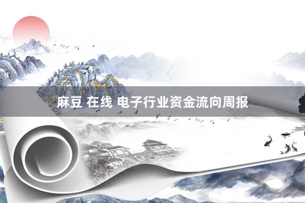 麻豆 在线 电子行业资金流向周报