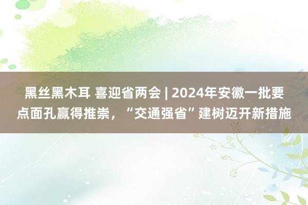 黑丝黑木耳 喜迎省两会 | 2024年安徽一批要点面孔赢得推崇，“交通强省”建树迈开新措施