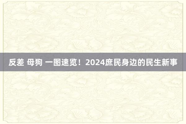 反差 母狗 一图速览！2024庶民身边的民生新事