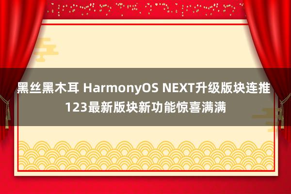 黑丝黑木耳 HarmonyOS NEXT升级版块连推 123最新版块新功能惊喜满满