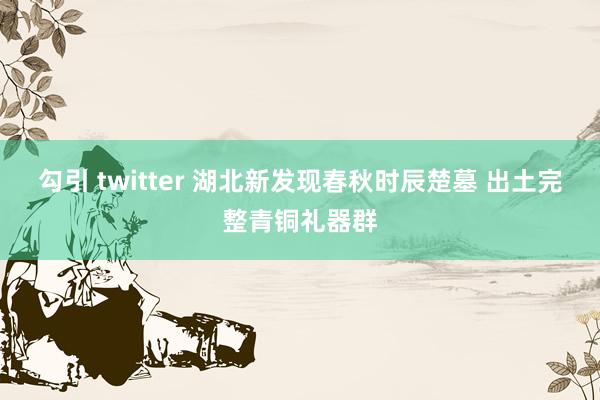 勾引 twitter 湖北新发现春秋时辰楚墓 出土完整青铜礼器群