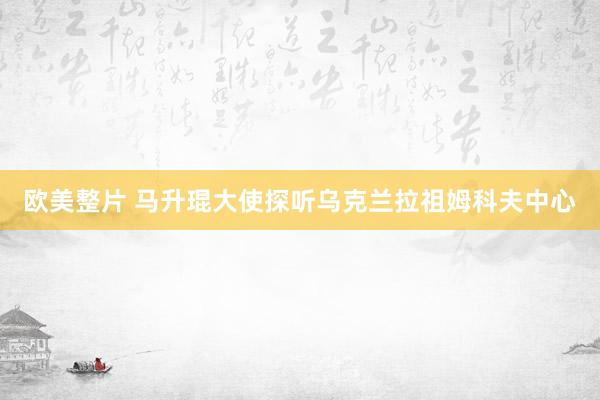 欧美整片 马升琨大使探听乌克兰拉祖姆科夫中心