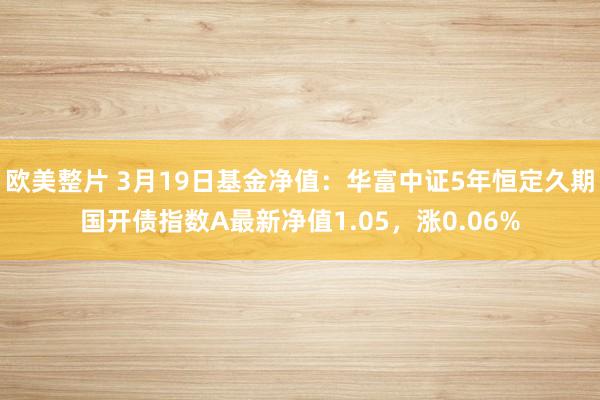 欧美整片 3月19日基金净值：华富中证5年恒定久期国开债指数A最新净值1.05，涨0.06%