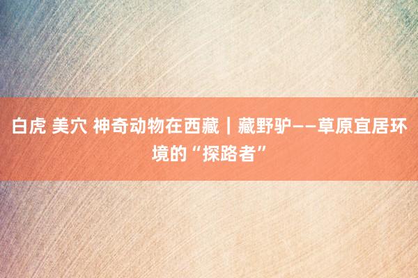 白虎 美穴 神奇动物在西藏｜藏野驴——草原宜居环境的“探路者”