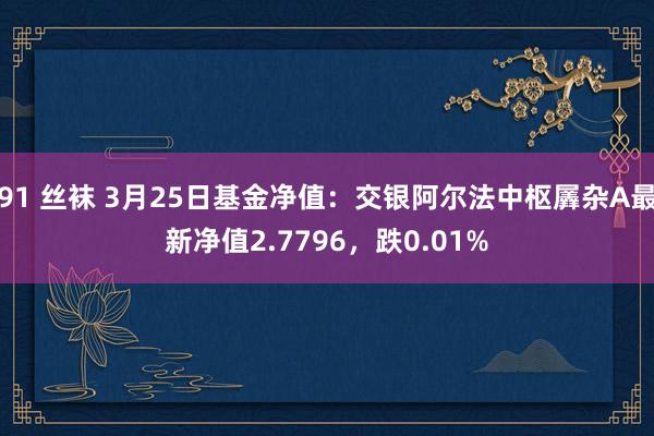 91 丝袜 3月25日基金净值：交银阿尔法中枢羼杂A最新净值2.7796，跌0.01%