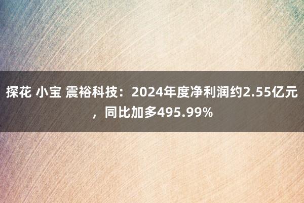 探花 小宝 震裕科技：2024年度净利润约2.55亿元，同比加多495.99%