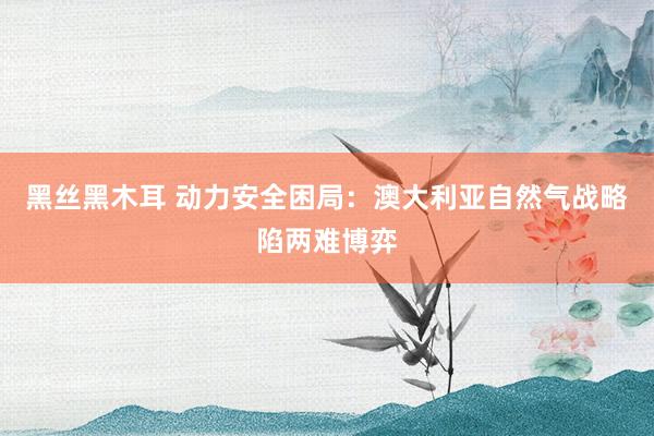 黑丝黑木耳 动力安全困局：澳大利亚自然气战略陷两难博弈