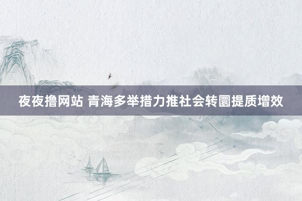 夜夜撸网站 青海多举措力推社会转圜提质增效
