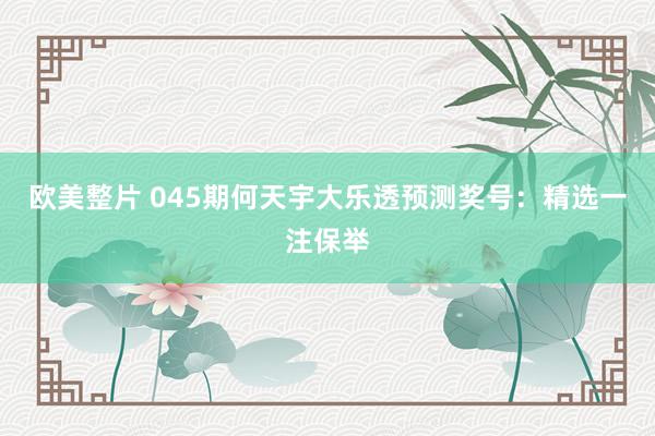 欧美整片 045期何天宇大乐透预测奖号：精选一注保举